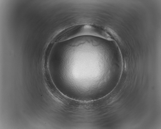 X0000070210627200605261253