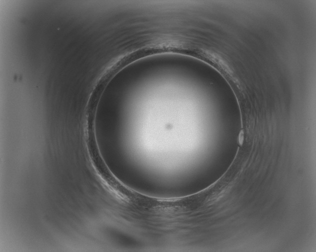 X0000070210629200605261253