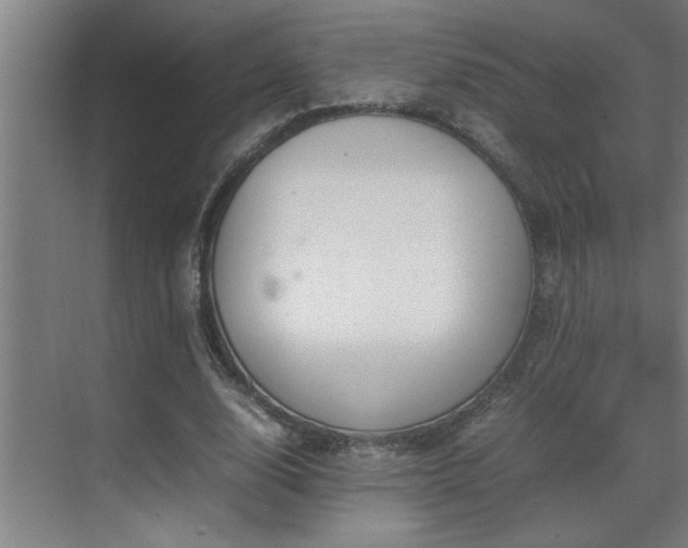 X0000070210632200605261253