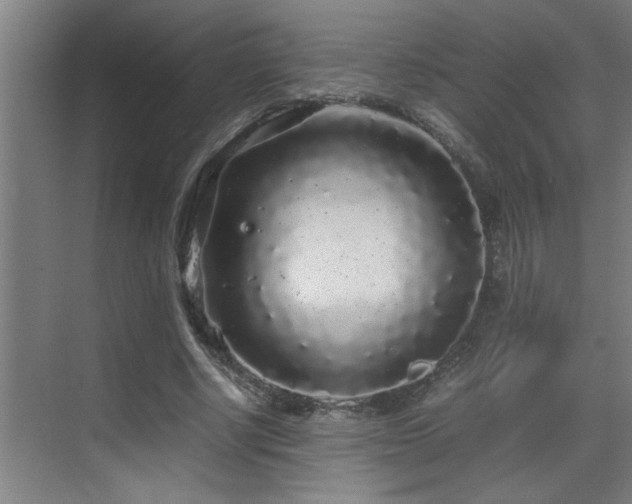 X0000070210634200605261253