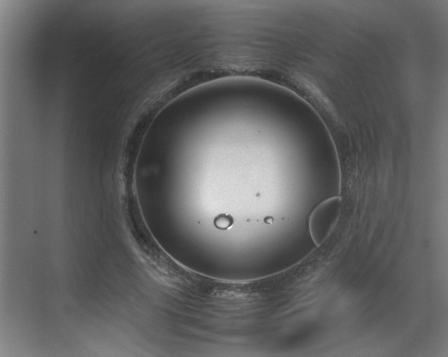 X0000070210635200605261253