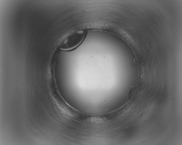 X0000070210636200605261253