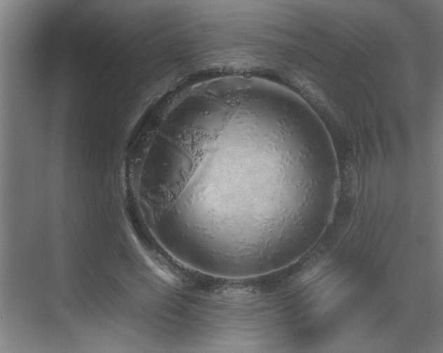 X0000070210638200605261253