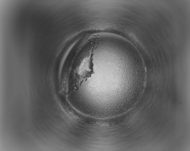 X0000070210640200605261253