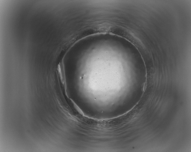 X0000070210641200605261253