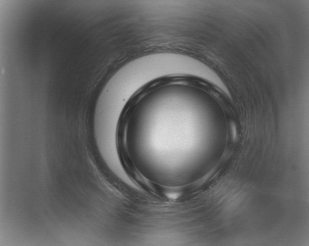 X0000070210642200605261253