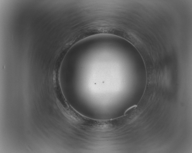 X0000070210646200605261253