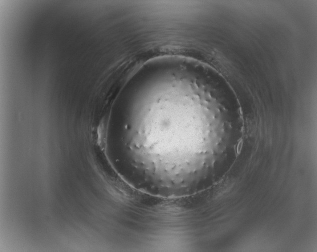 X0000070210648200605261253