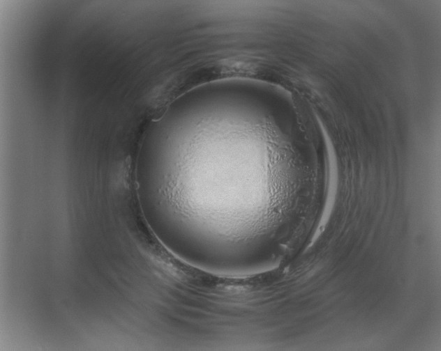 X0000070210649200605261253