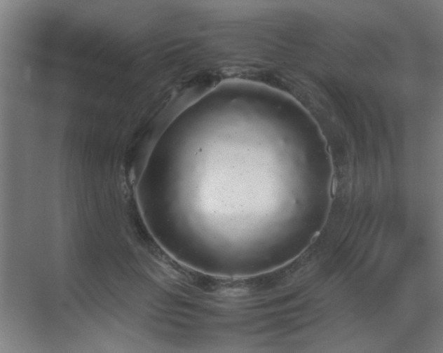 X0000070210653200605261253