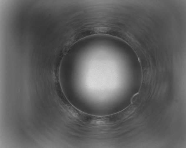 X0000070210655200605261253