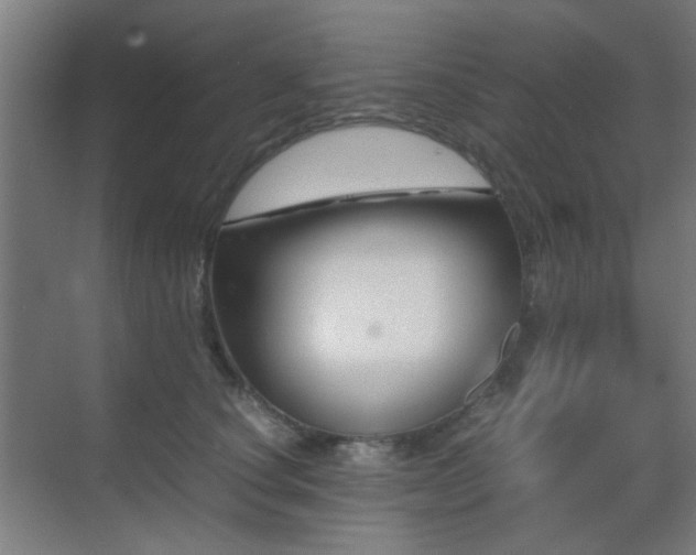 X0000070210660200605261253