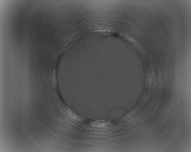 X0000070210661200605261253