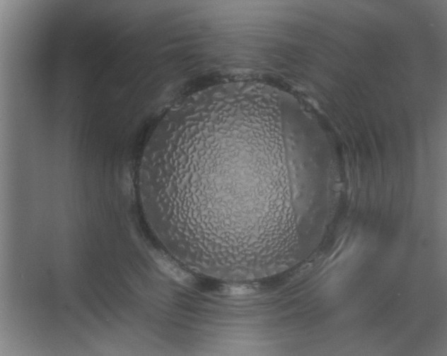 X0000070210662200605261253