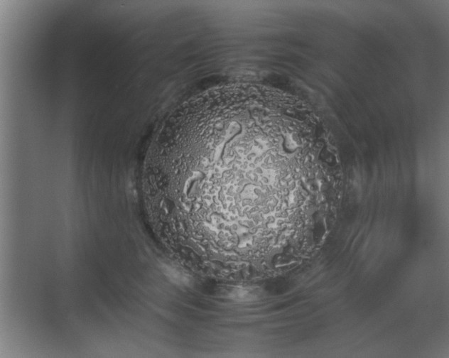 X0000070210663200605261253