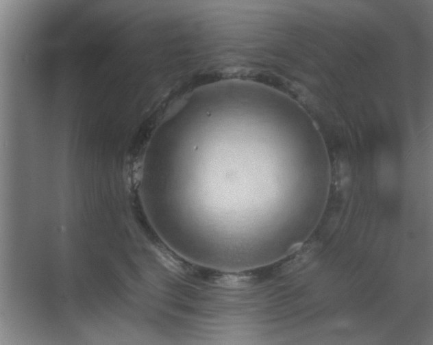 X0000070210664200605261253