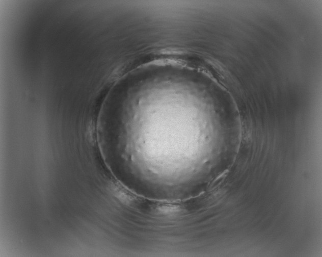 X0000070210669200605261253