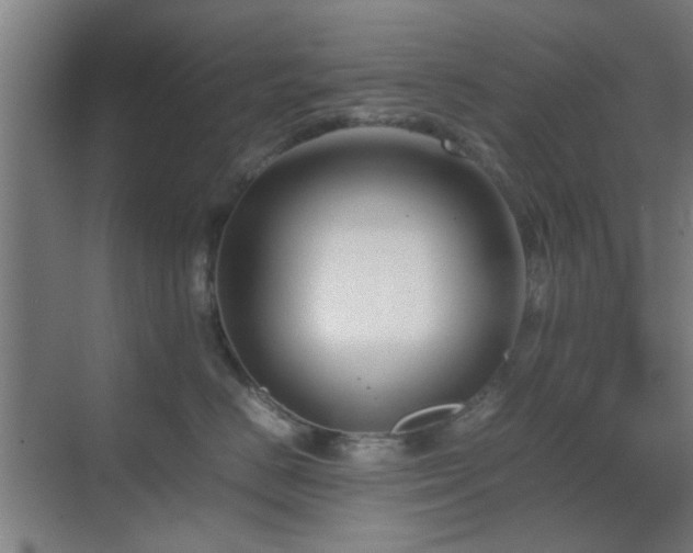 X0000070210670200605261253