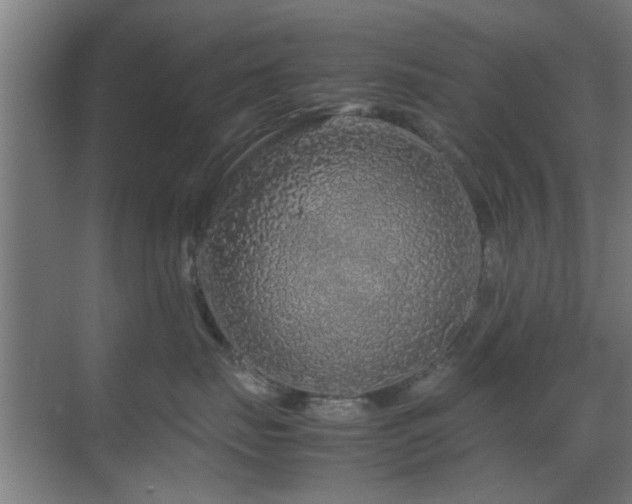 X0000070210671200605261253