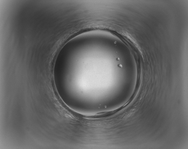 X0000070210673200605261253