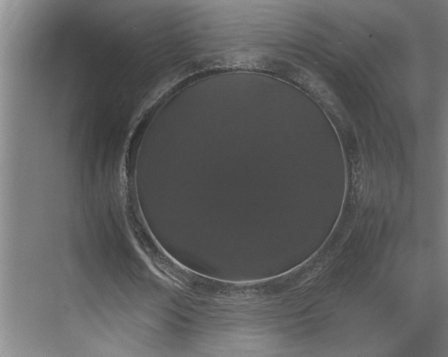 X0000070210674200605261253