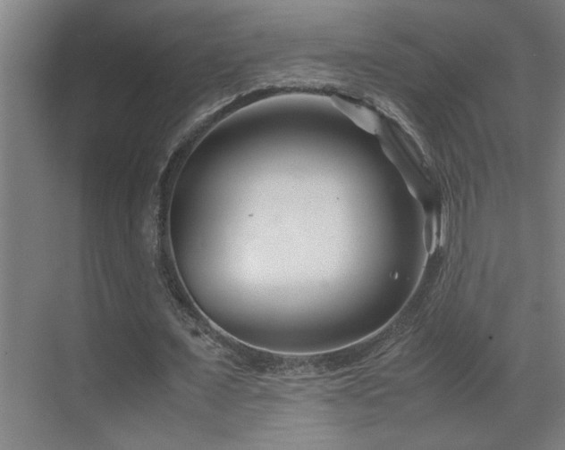 X0000070210675200605261253