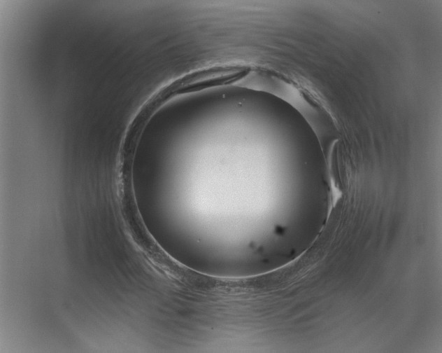 X0000070210676200605261253