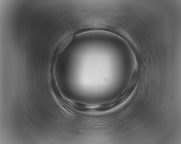 X0000070210677200605261253