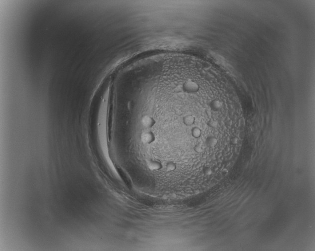 X0000070210679200605261252