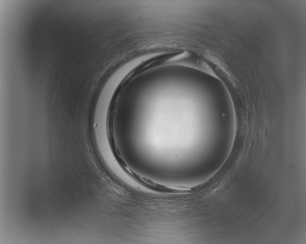 X0000070210681200605261252