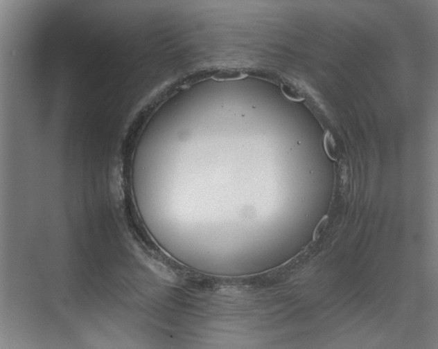 X0000070210684200605261252