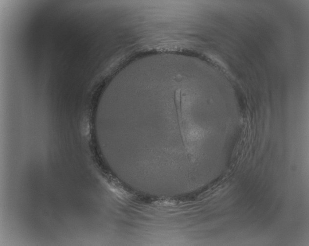 X0000070210687200605261252