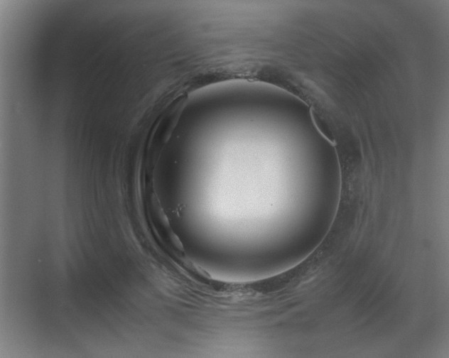 X0000070210693200605261252