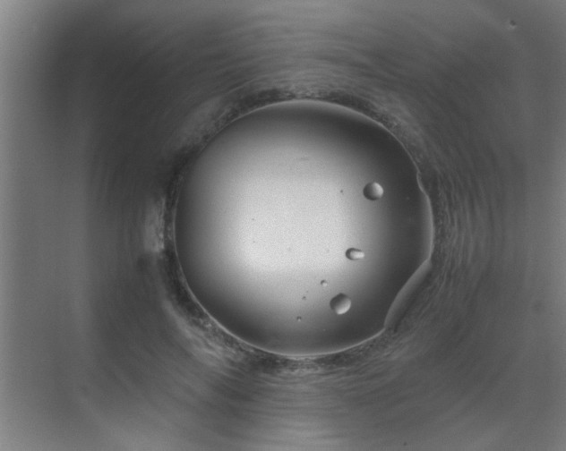 X0000070210694200605261252