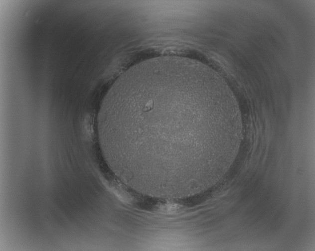 X0000070210695200605261252