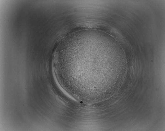 X0000070210696200605261252