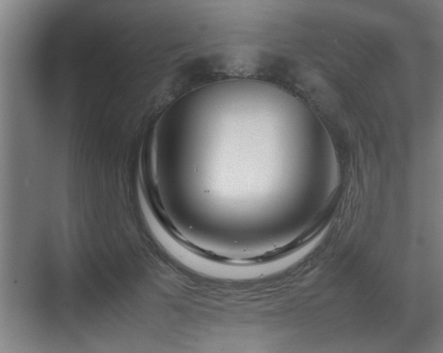 X0000070210697200605261252