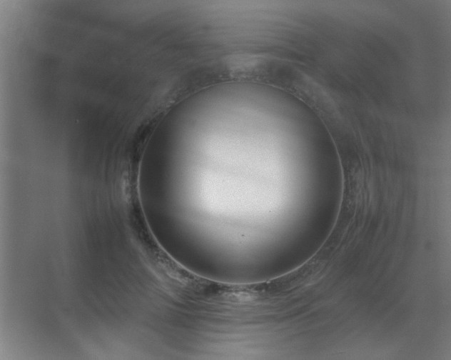 X0000070210698200605261252