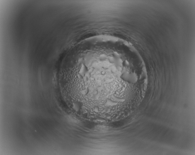 X0000070210699200605261252