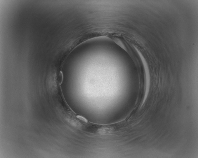 X0000070210700200605261252