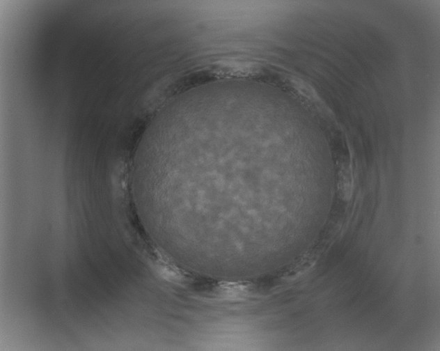 X0000070210701200605261252