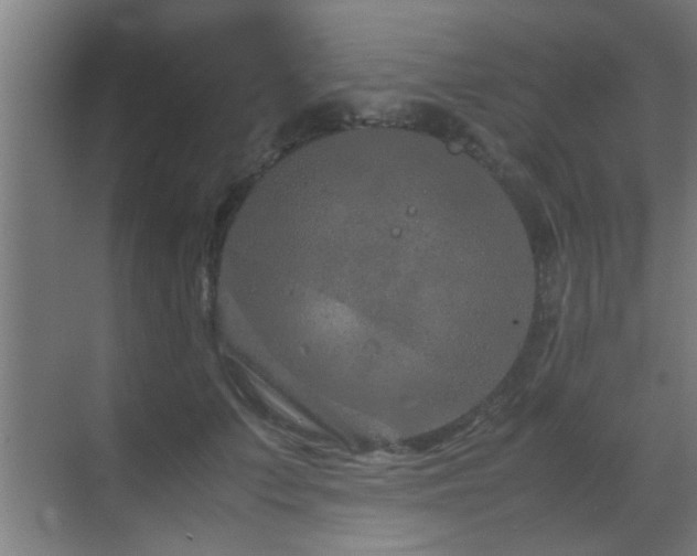 X0000070210703200605261252