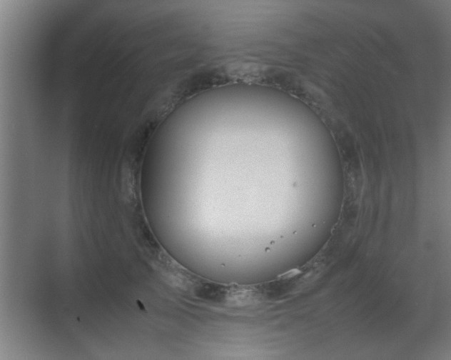 X0000070210705200605261252