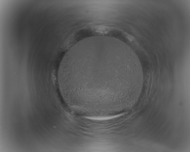 X0000070210707200605261252