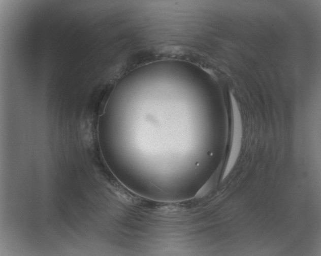 X0000070210708200605261252