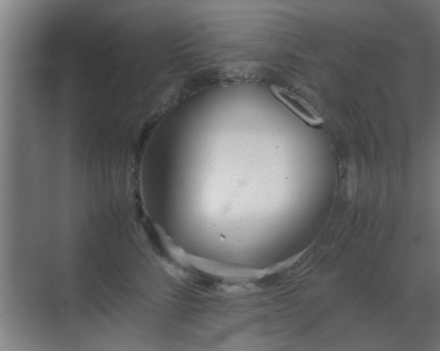 X0000070210712200605261252