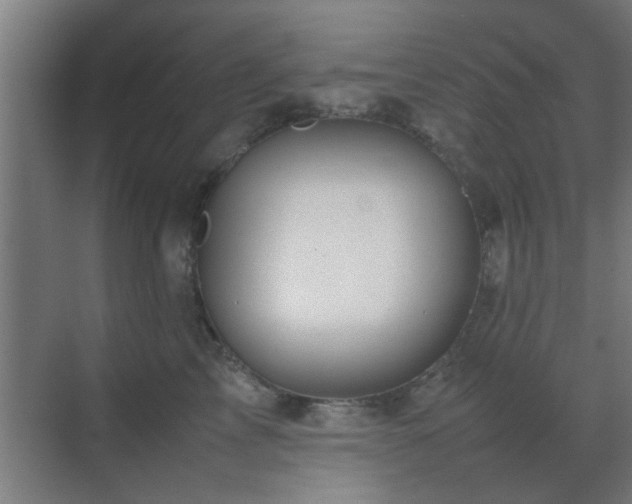 X0000070210713200605261252