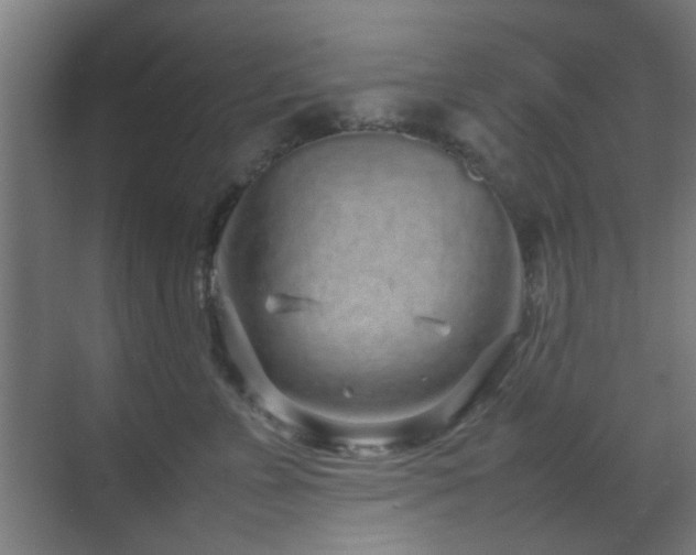 X0000070210715200605261252