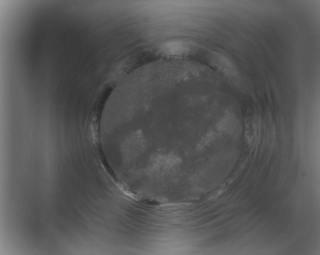 X0000070210718200605261252