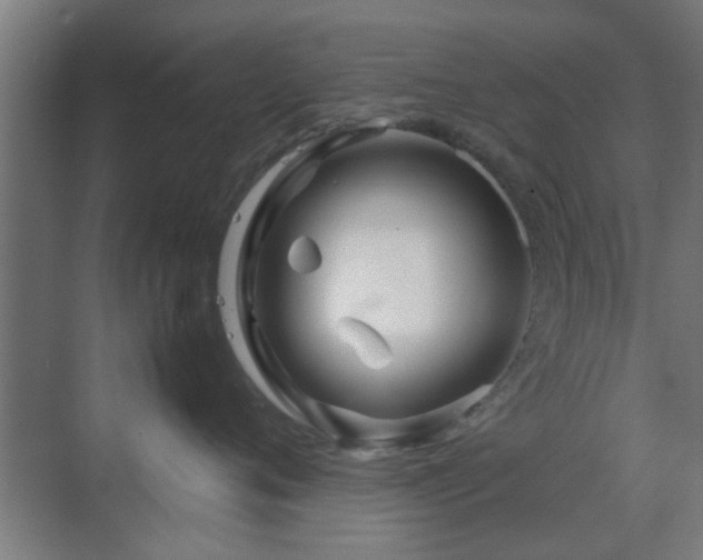 X0000070210720200605261252